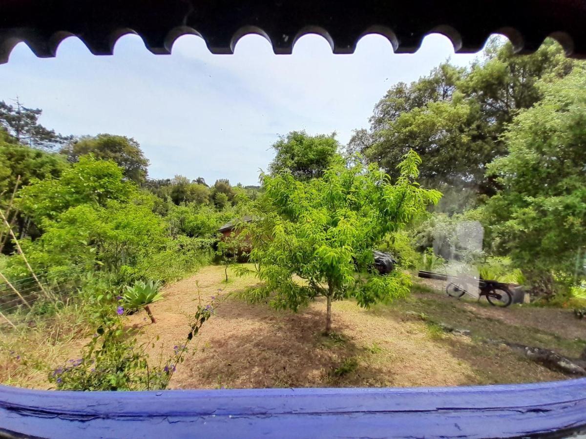 Casa Lantana Villa Figueira da Foz Buitenkant foto